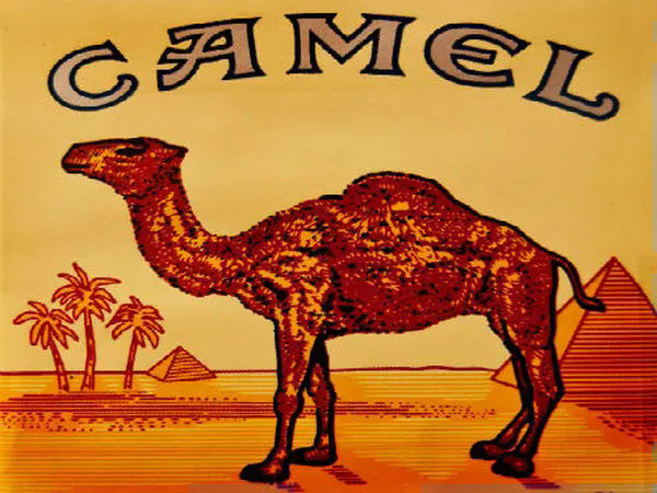 Camel Font